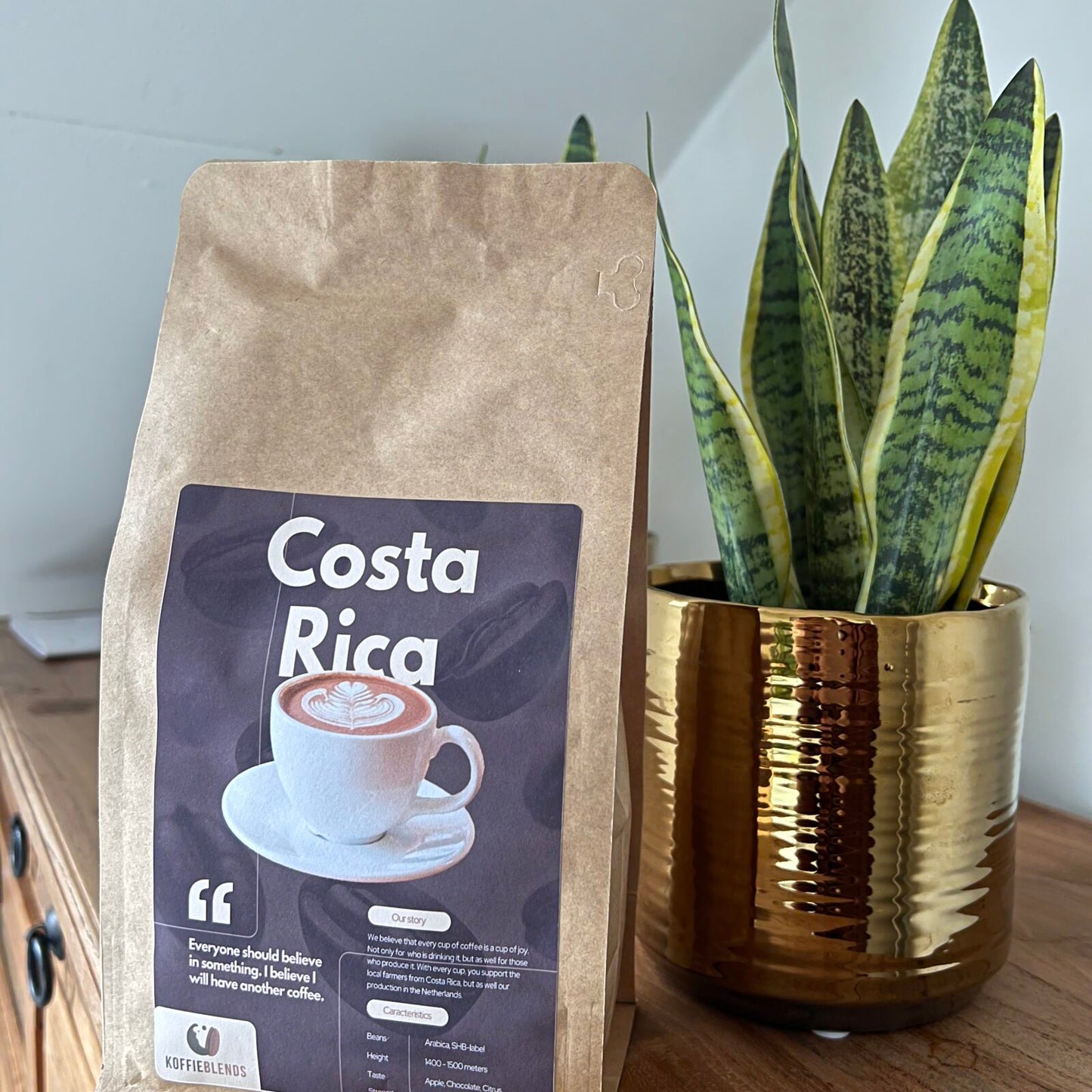 Costa Rica (bonen)